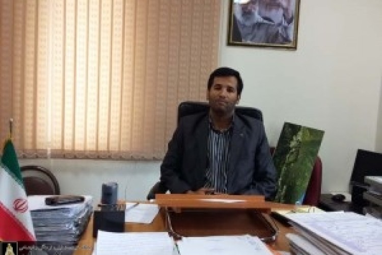 دادستان پاوه اعلام کرد: اتخاذ تصمیمات سخت برای برخورد با متجاوزان منابع طبیعی(ویمیر ، سرده ره و..) 