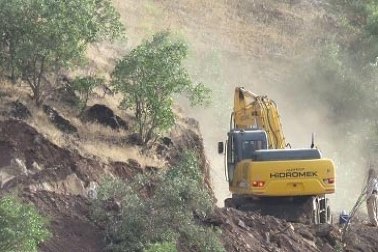 نابودی جنگل های بلوط در شهرستان پاوه/سکوت اداره منابع طبیعی در مقابل این اقدامات!!!