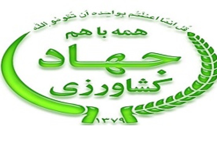 مبارزه شیمیایی در سطح 1350هکتار از اراضی زراعی و باغی پاوه 