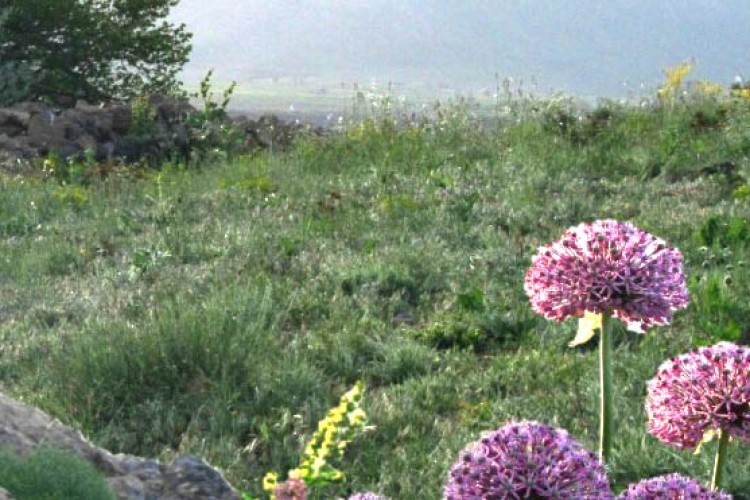 تشکر  و حمایت انجمن دوستداران طبیعت باینگان ازاقدام زیست محیطی مدیران شهرستان پاوه