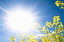 شهرستان پاوه با 38 درجه دماي هوا به حداكثر رسيد