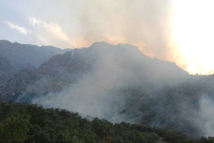  ادامه آتش سوزی ها در اورامانات / این بار جنگلهای بلوط روستاي رودبار طعمه حريق شدند