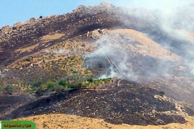مراتعی که در آتش غفلت انسان ها می سوزند/اين بار مراتع "هاني كه كو" طعمه حريق شد
