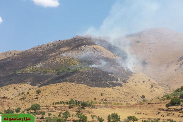 فرماندار پاوه: آتش سوزی مراتع و جنگلهای پاوه مهار شد