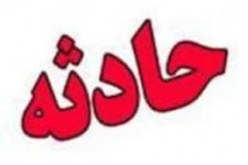 سقوط از درخت گردو جان یک نفر روستایی در بخش شاهو را گرفت