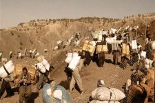 فعالیت کوله بری در پاوه به طور موقت از سر گرفته شد