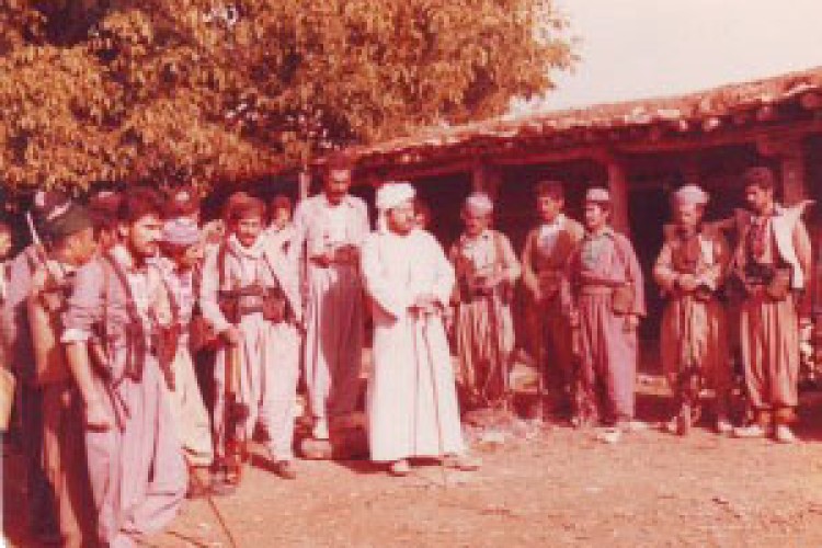 حماسه هشت سال دفاع مقدس/640 شهید، 875 جانباز و 29 آزاده سرافراز در شهرستان پاوه 