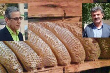 مستعد بودن طبيعت اورامان براي توليد عسل طبيعي/از برداشت اين محصول طبيعي در اورامانات تا وجود فاكتورهاي نابودي زنبور