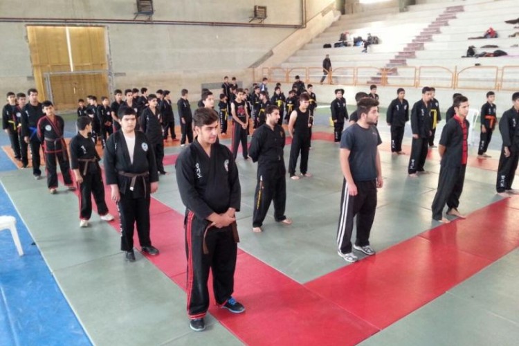 درخشش رزمی کاران پاوه در مسابقات هاپکیدوی قهرمانی استان