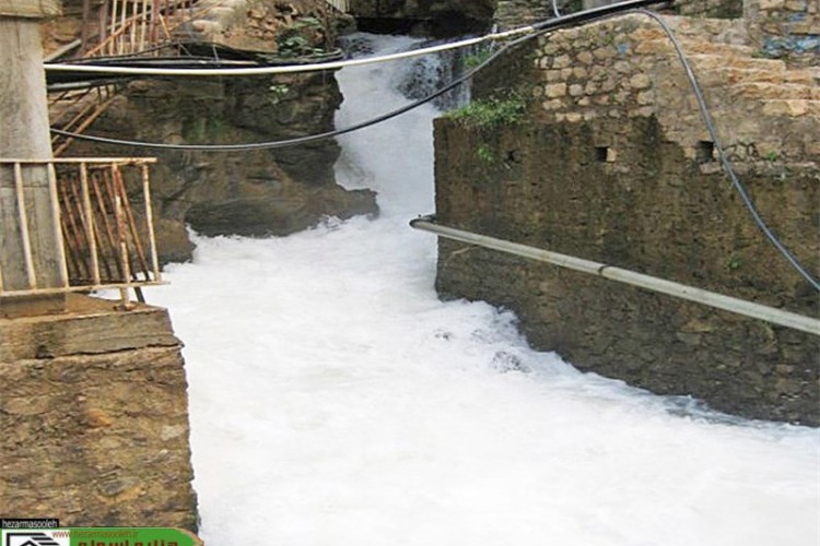 فریاد بی صدای نابودی کانی بل از زبان "بل"