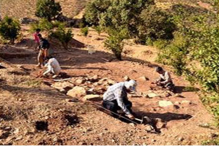 شناسایی یک محوطه تاریخی با قدمت چند هزار ساله در روستای روار 