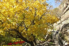 زیبایی های پاییزی شهرستان پاوه