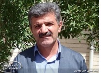 در پديده اي نادر در فصل پاييز ؛ درخت گردویی به ثمر نشست