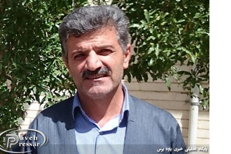 در پديده اي نادر در فصل پاييز ؛ درخت گردویی به ثمر نشست