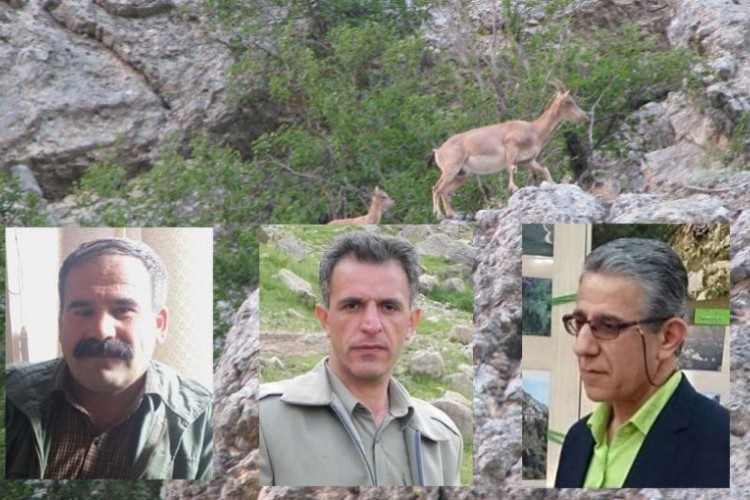 از منع شکار کل و بز در اورامانات تا مقابله سمن ها و فعالان زیست محیطی با متجاوزین