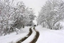 مدارس شهرستانهای اورامانات روز دوشنبه تعطیل است