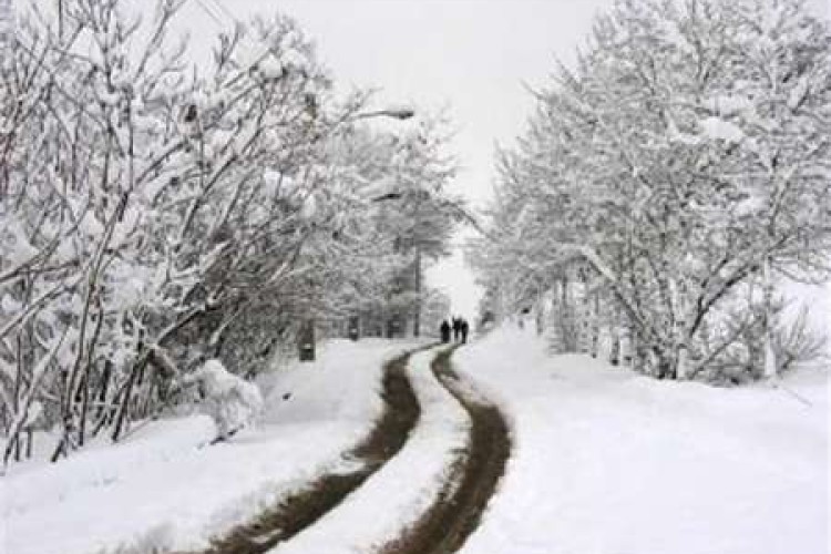 مدارس شهرستانهای اورامانات روز دوشنبه تعطیل است