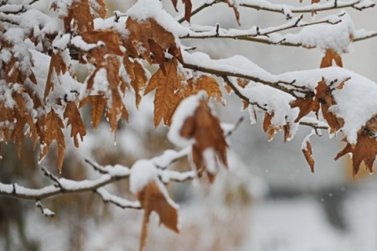 ورود سامانه بارشی به اورامانات از روز یکشنبه