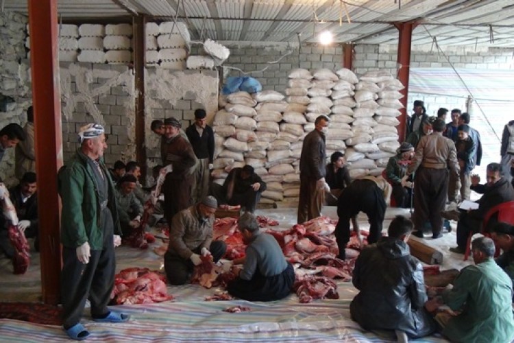 توزیع گوشت 100 رأس دام بین نیازمندان سروآباد+تصاویر