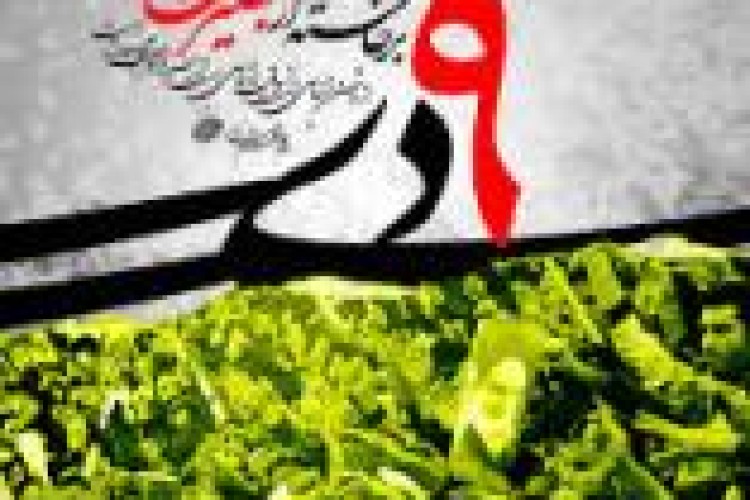 پویش مجازی " خط قرمز انقلاب"