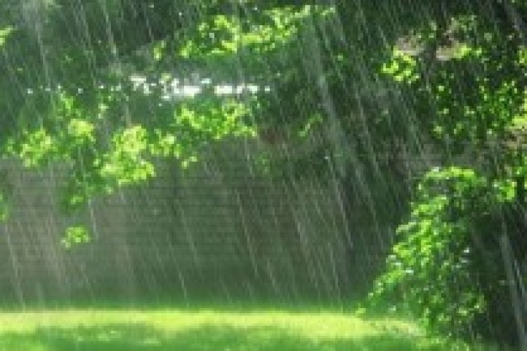 ورود سامانه بارشی از بعدظهر روز دوشنبه/ تمرکز یک روزه بارشها بر روی اورامانات 