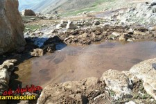 جوشش چشمه اورینجان در تفرجگاه بیدمیری پاوه+تصاویر