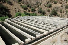 شهرستان پاوه در تولید ماهی قزل آْلای سردآبی رتبه دوم استان کرمانشاه را دارد