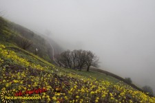 اینجا پاوه است/گزارش تصویری از طبیعت زیبا و بهاری پاوه