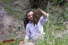 ملا ابراهیم انفرادی،روحانی فعال علاقمند در زمینه تولید عسل طبیعی