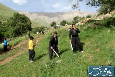 اعضای شورای شهر پاوه در حال ملخ کشتن +تصاویر