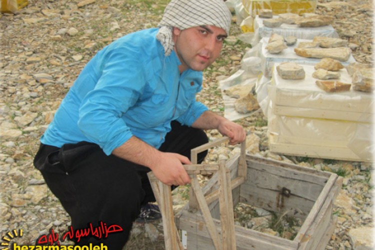 شهد شیرین اقتصاد مقاومتی با پرورش زنبور عسل