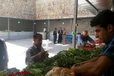 افتتاح بازار میوه و تره بار در پاوه