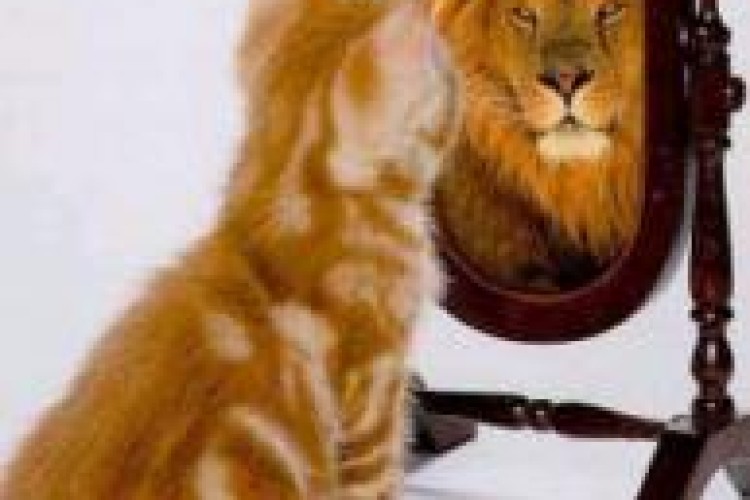 ٢٣ راه افزایش اعتماد به نفس 
