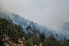 بیش از 300 هکتار از مراتع پاوه طعمه حریق شد/مراتعی که در آتش غفلت انسان ها می سوزند