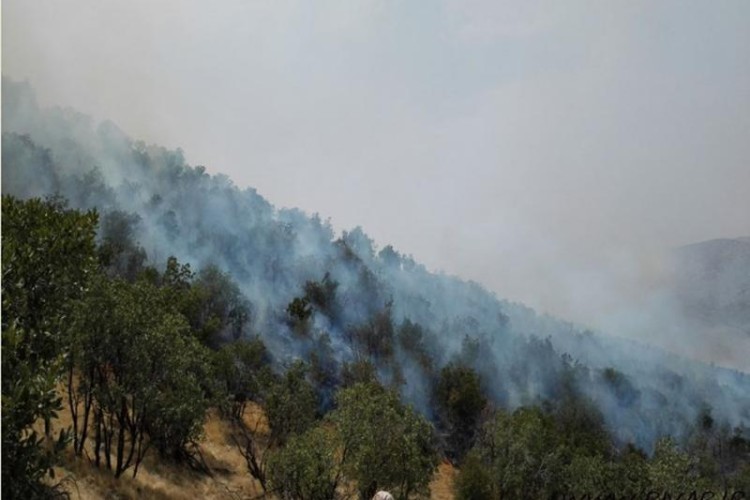 بیش از 300 هکتار از مراتع پاوه طعمه حریق شد/مراتعی که در آتش غفلت انسان ها می سوزند