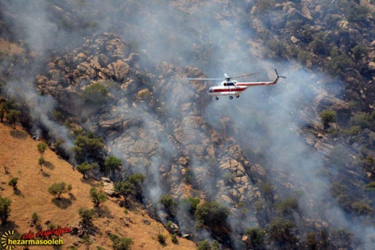 تصاویری از آتش سوزی مراتع و جنگل ها در منطقه "نانا ویژه" پاوه