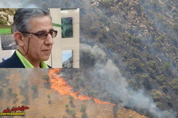 چرا آتش سوزی در کوهستان شکار ممنوع "ناناویژه" دیر کنترل شد؟