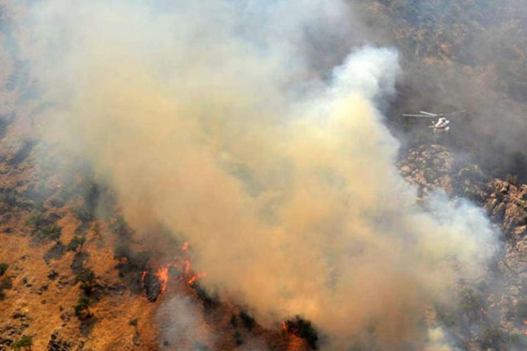 آتش سوء مدیریت و غفلت ها بر پیکره جنگل ها و مراتع شهرستان پاوه