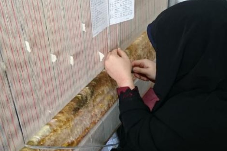 هنر دست بانوان شهرستان پاوه در تجلی اقتصاد مقاومتی