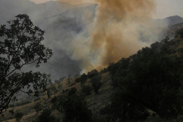 مهار آتش در جنگل ها و مراتع شهرستان پاوه در روستای هیرویی/سیاه شدن بیش از 10 هکتار از مراتع پاوه