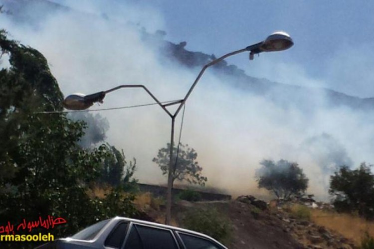 مراتع پشت بیمارستان قدس پاوه طعمه حریق شد