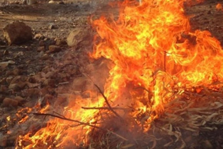 افزایش حریق در عرصه های منابع طبیعی شهرستان پاوه