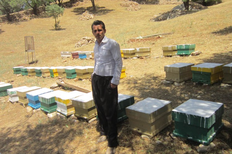 گامی درتحقق اقتصاد مقاومتی با پرورش زنبور عسل در پاوه