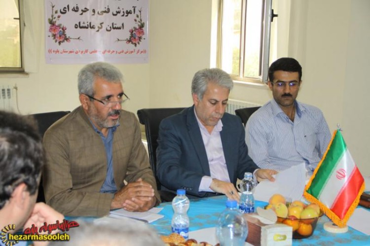 ناصری امید: بیش از 40 درصد از برنامه های این سازمان در 4 ماهه اول امسال محقق شد/نجیب میرانی:هیچ توجهی در عرصه نظام تعلیم و تربیت به مهارت آموزی نمی شود 