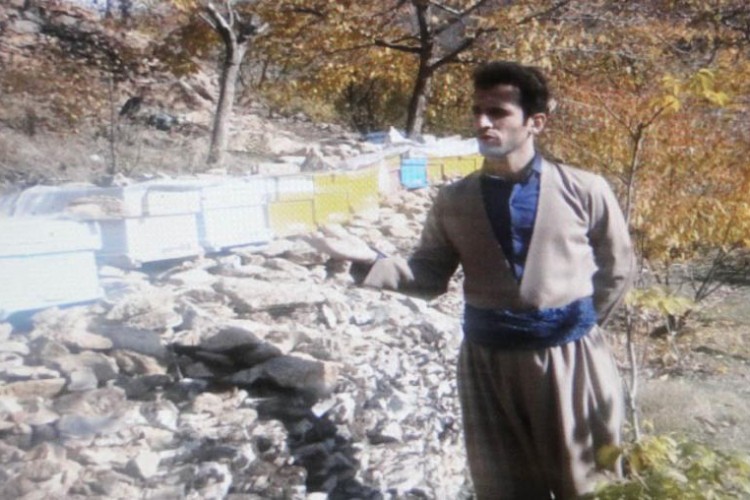 تجلی اقتصاد مقاومتی با پرورش زنبور عسل در شهرستان پاوه