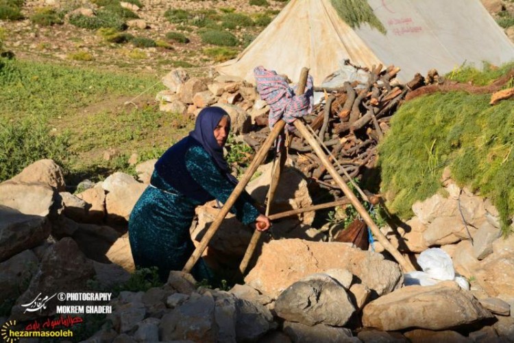 عشایر شهرستان پاوه را در یابیم/مسئولان به مشکلات عشایر پیازدول بیش از این اهتمام کنند