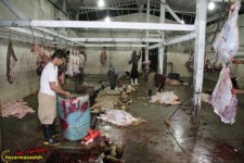 کشتارگاه صنعتی برای شهرستان های اورامانات راه اندازی خواهد شد