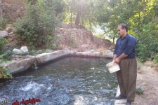 پرورش ماهی در روستای داریان در جهت تحقق اقتصاد مقاومتی