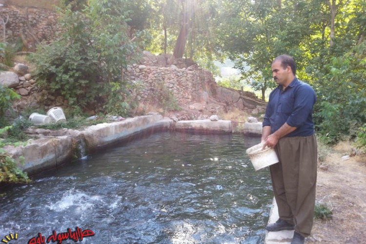 پرورش ماهی در روستای داریان در جهت تحقق اقتصاد مقاومتی