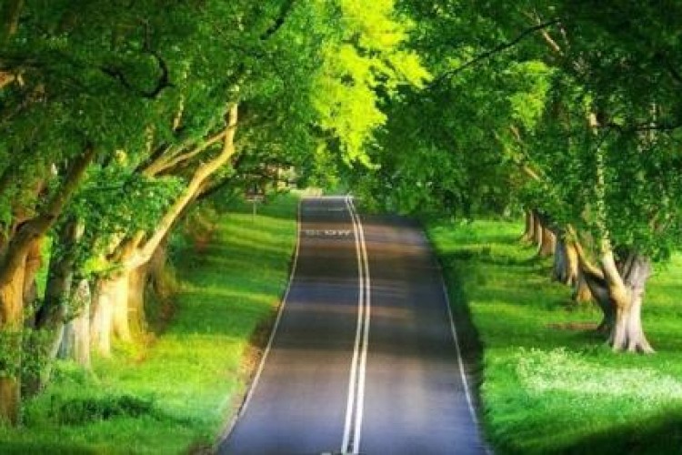 توجه به همسر، ضمانت خوشبختی